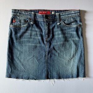 Big Star Vintage Cassi Distressed Frayed Hem Skirt Size 29 Slit in Back